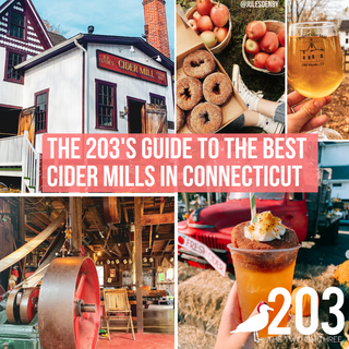 A local's guide to the Best Cider Mills In Connecticut