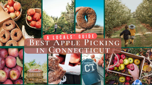 The Best Apple Picking In Connecticut- A Local Guide To CT Apple Orchards