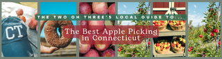 Harvesting Fall: The 203’s Local Guide to The Best Apple Picking in Connecticut