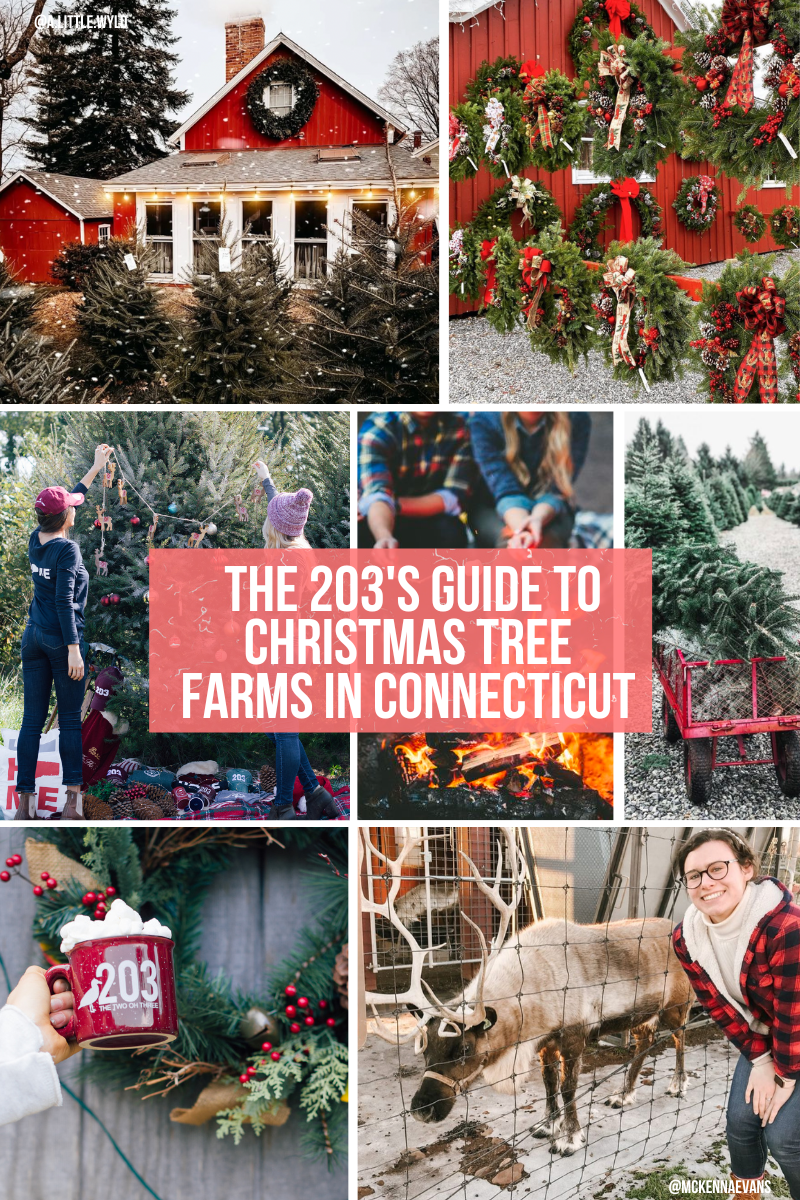 A Local's Guide To Christmas Tree Farms in Connecticut