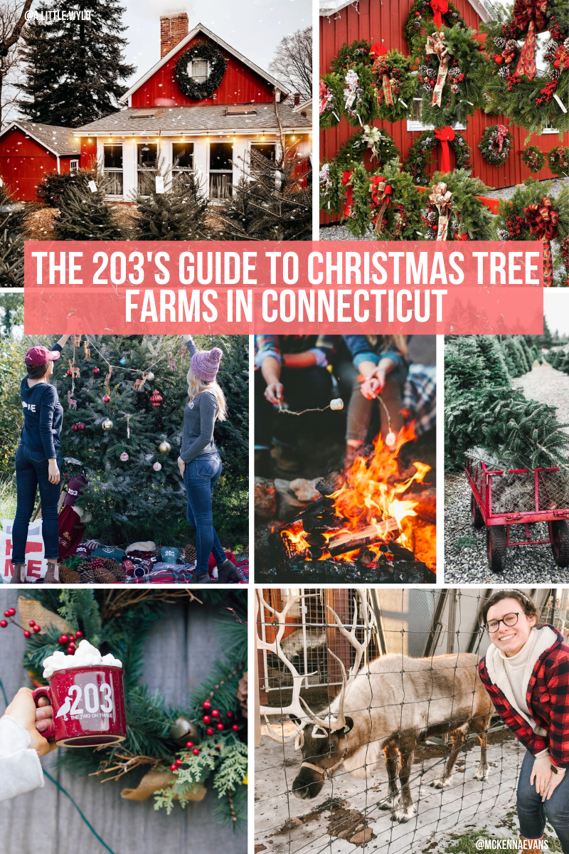 The Best Christmas Tree Farms in Connecticut