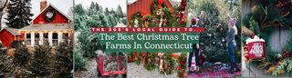 Top Christmas Tree Farms in Connecticut | The 203’s Ultimate Guide