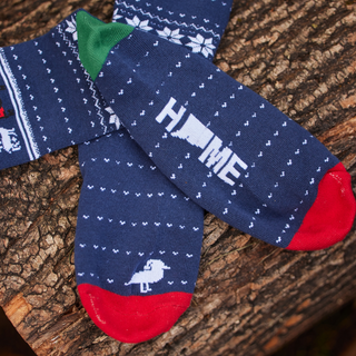 Connecticut Holiday Socks