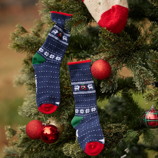 Connecticut Holiday Socks
