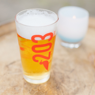 203 Pint Glasses