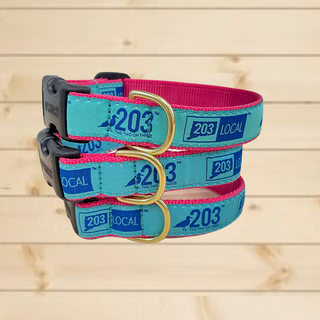 203 Local Dog Collar