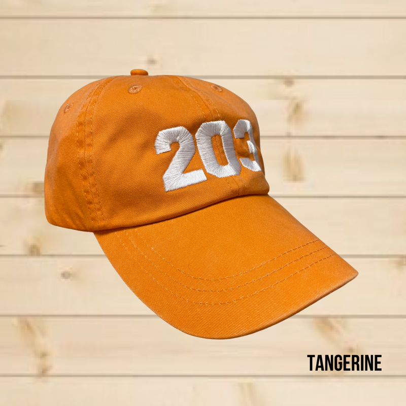 The 203's Classic Embroidered Baseball Cap