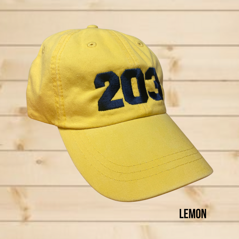 The 203's Classic Embroidered Baseball Cap